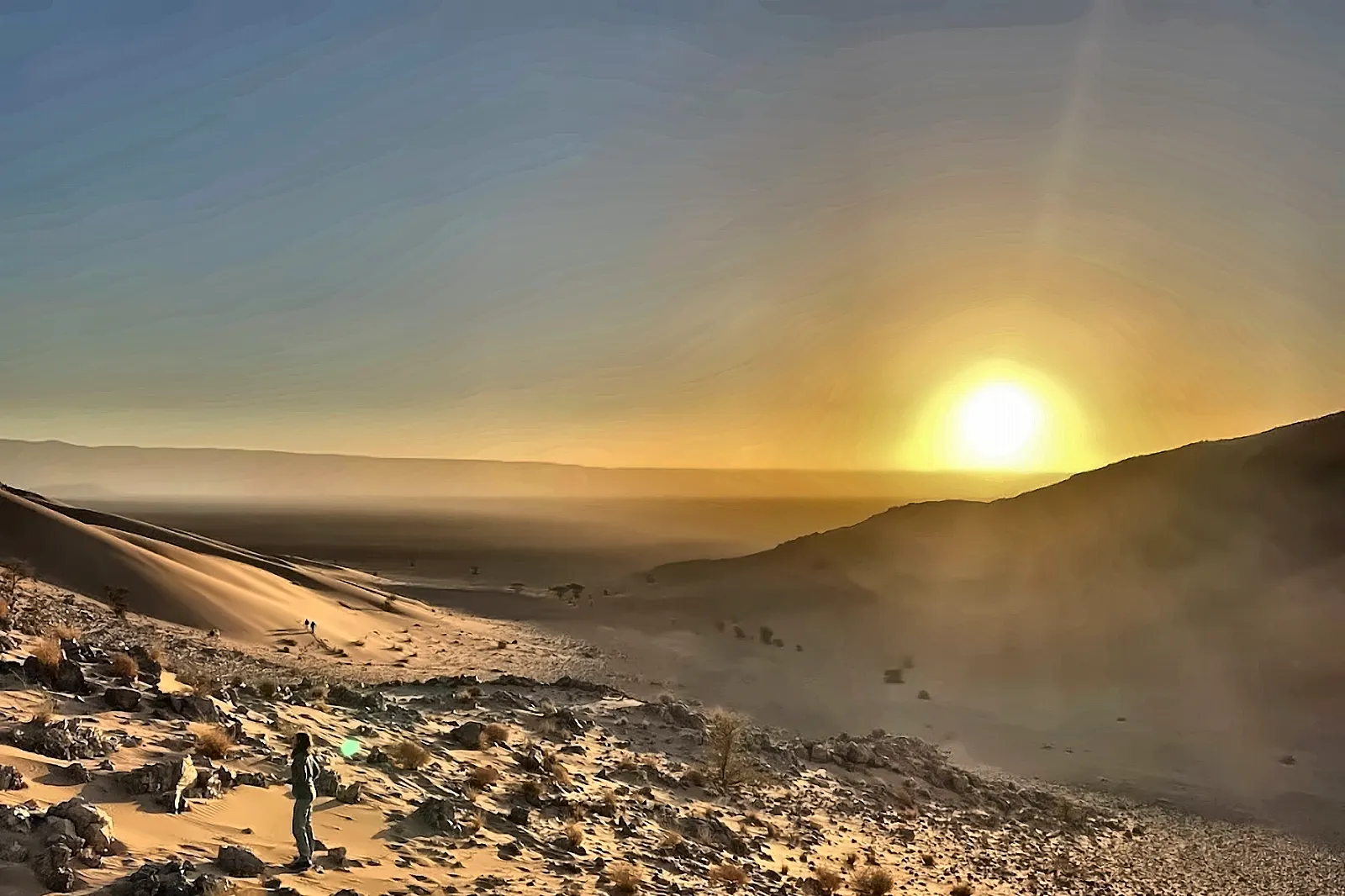 Il sole che sorge dietro le dune, con gli uccelli in volo