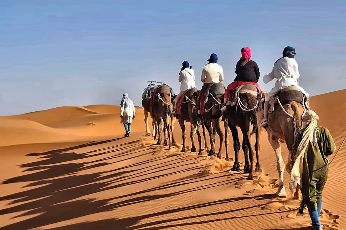 Una carovana di dromedari sul crinale delle dune