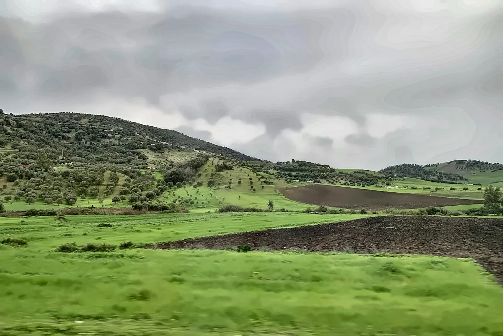 Colline verdi dell’Atlante dopo le piogge