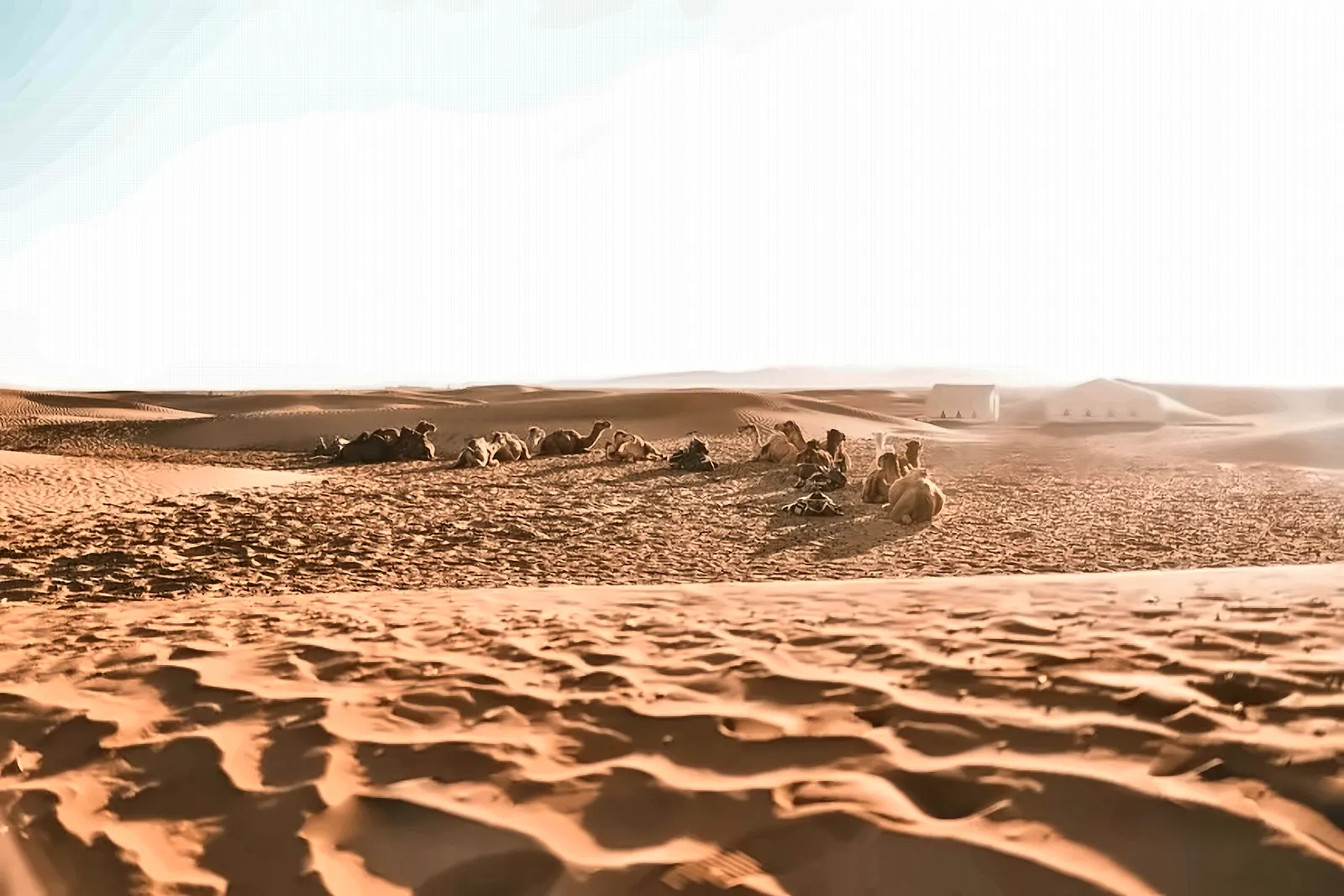 Il campo tendato visto da lontano oltre la sabbia increspata