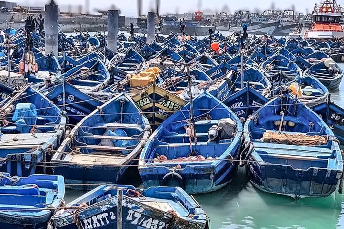 Le barche da pesca azzurre nel porto di Essaouira