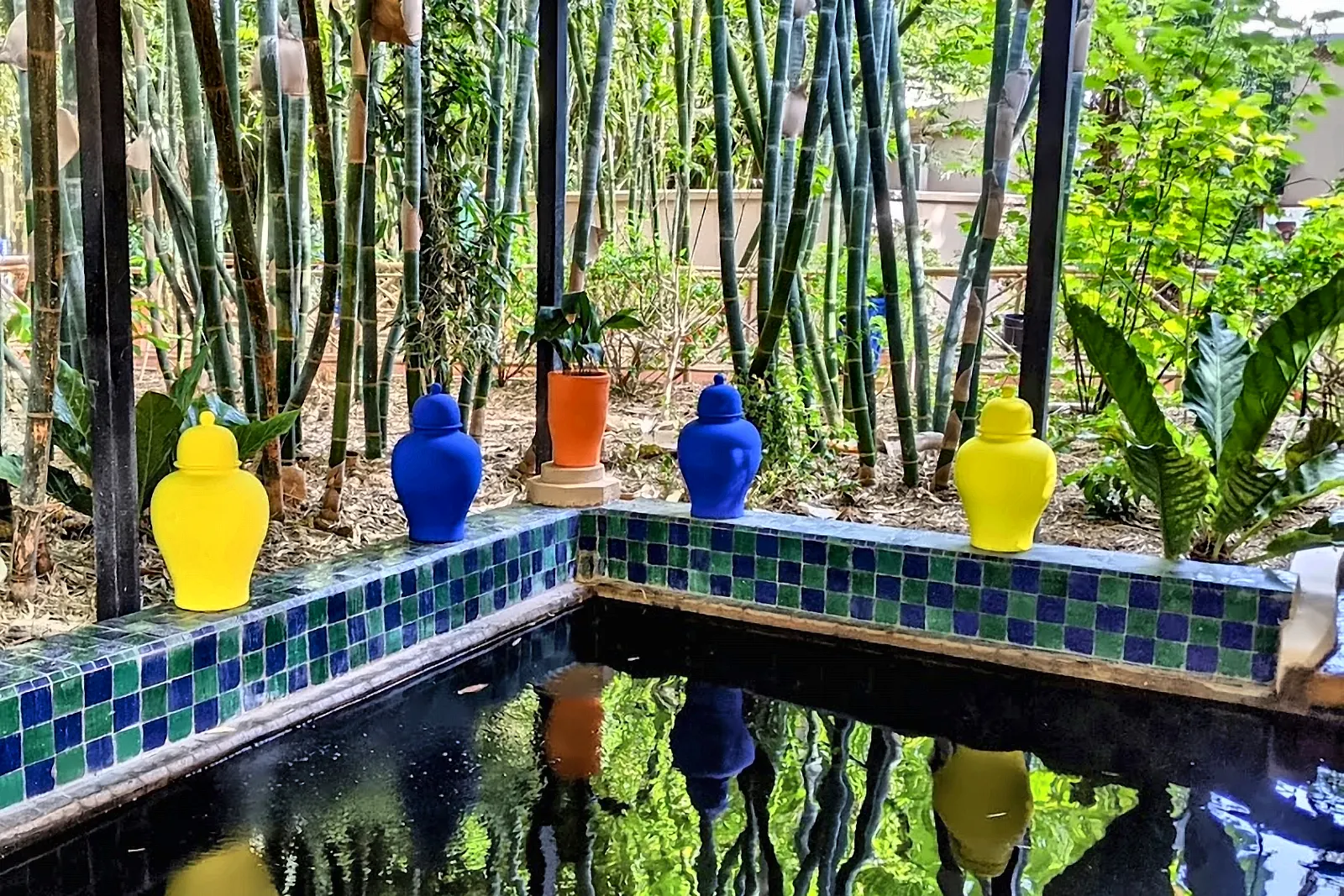 I vasi gialli e blu del giardino Majorelle fra i bambu