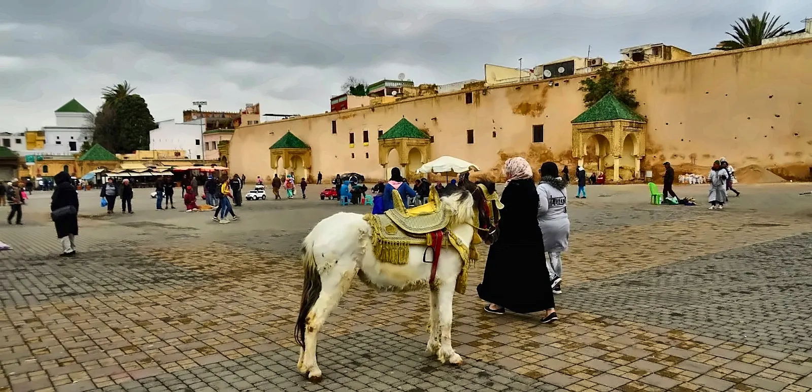 La piazza el-Hedim di Meknes con il cavallo bianco e le mura