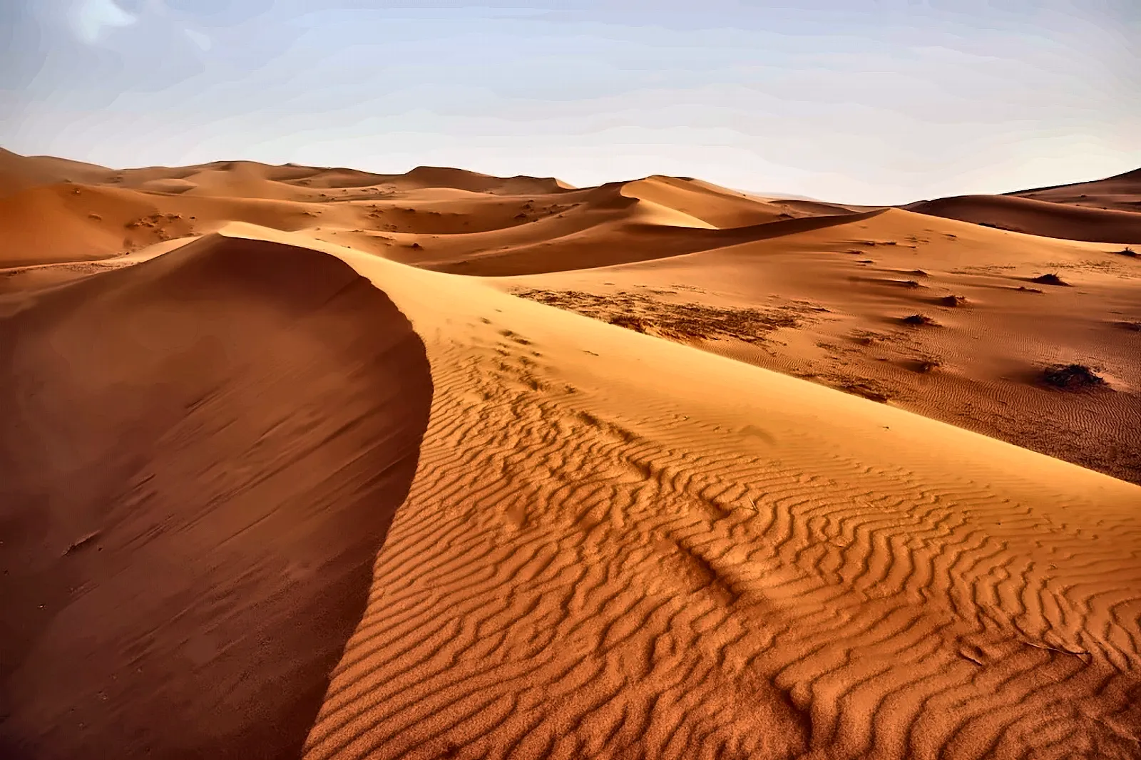 La cresta di una duna dell’Erg Chebbi disegnata dal vento