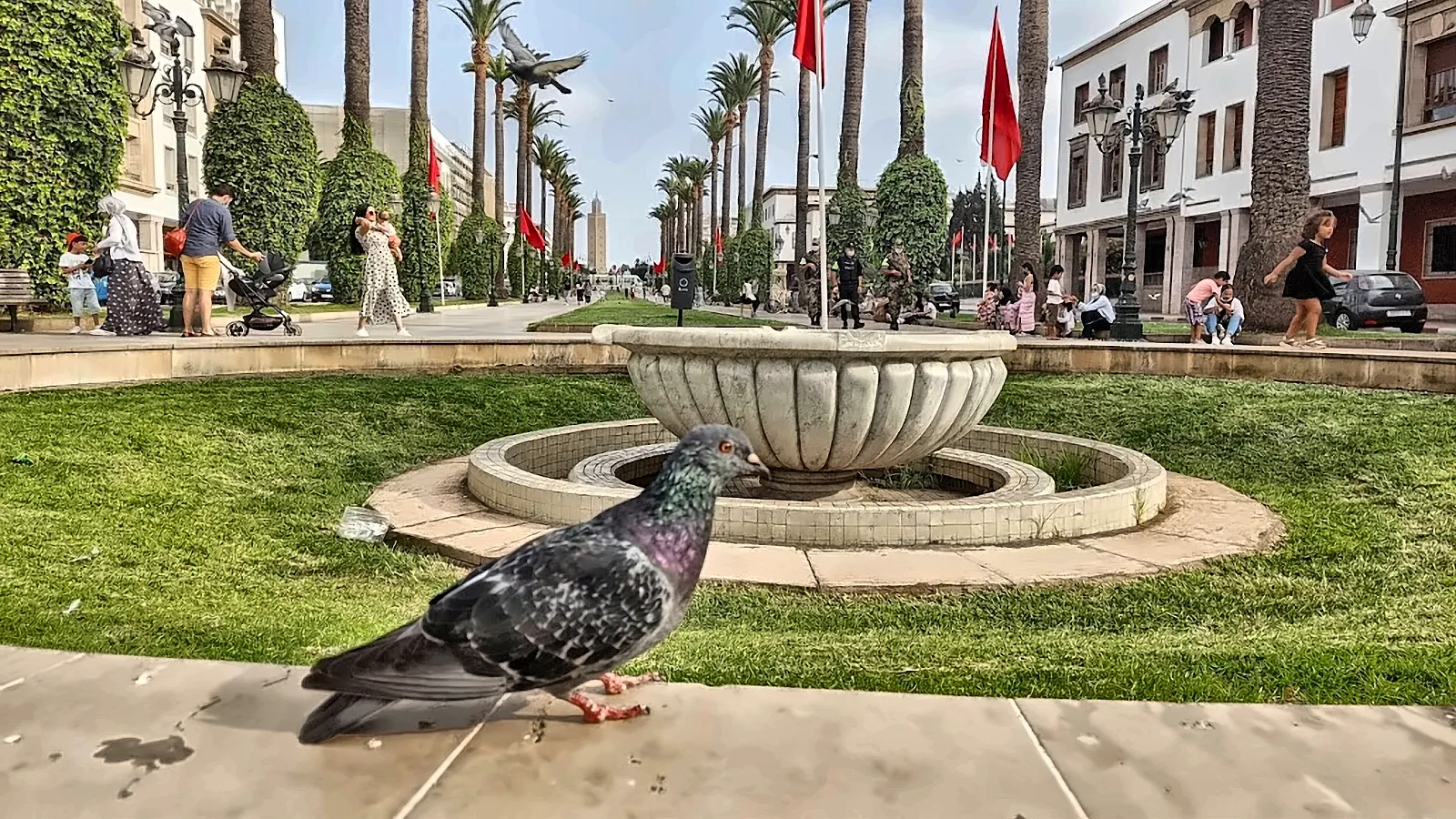 Il viale delle bandiere a Rabat