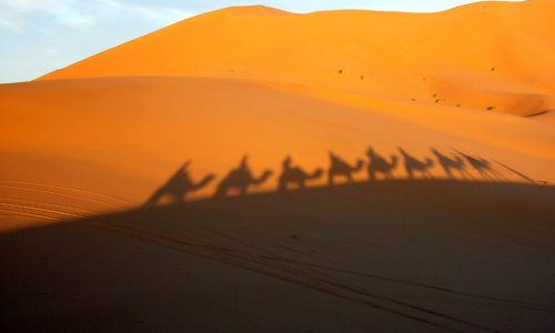 tour in gruppo da Fes a Marrakech in 3 giorni